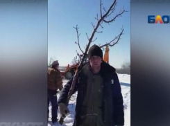 Мэрия Волжского не принимала участия в «благоустройстве» в поселке Деревянный