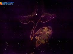 Луна в знаке Овна помешает работе и глобальным целям: гороскоп от волжского астролога на 22 августа