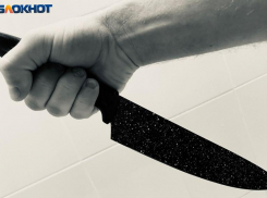 В СИЗО оказался школьник, бросившийся с ножом на директора в школе Волжского