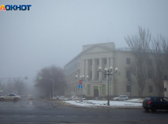 Похитители детей, драка с врачом и Айлита Ли: ТОП-5 новостей в Волжском