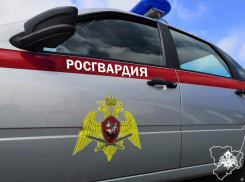 Преступление на «дамском фронте»: мать и дочь ограбили магазин одежды в Волжском