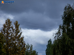 Пасмурную погоду и осадки обещают синоптики в понедельник