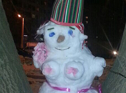 Сексуальная снежная баба на дереве шокировала жителей Волжского