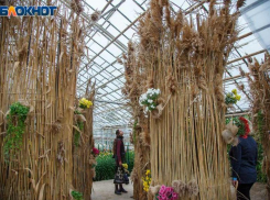 Волжане будут изгонять мышей 14 февраля