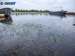 Солнце и ветерок: комфортная погода ждет волжан в воскресенье