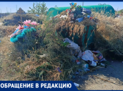 Волжане в ужасе от свалок и сухостоя на кладбище № 4,  где хоронят героев СВО