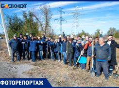 Сотрудники Абразивного завода продолжают озеленять город