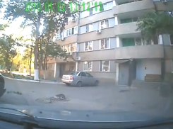 На юге Волгограда мужчина выкинул с балкона кошку