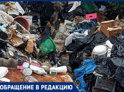 В Волжском страдают от соседства с мужчиной, разводящим кур и гусей