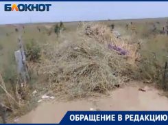 Сухая лебеда по шею: кто приведет в порядок не «элитные» заросшие могилы в Волжском?