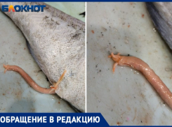 Рыбу с червями продали в гипермаркете в Волжском: фото