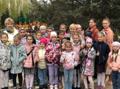 Депутат Ирина Гусева продолжает работу с населением, несмотря на предвыборную гонку