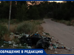 «Круглое скоро исчезнет под слоем мусора», - волжанка о свалке на подступах к озеру