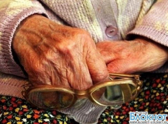 В Волгоградской области у пенсионерки электрик похитил 100 тысяч рублей