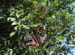 Джунгли на дорогах стали главной причиной несправедливых штрафов в Волжском