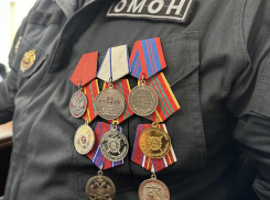 Администрация Волжского отблагодарила сотрудников силовых структур за участие в СВО
