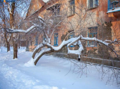 В день стоматолога волжане застучат зубами