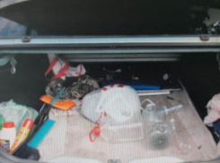 Среднеахтубинец «нарвался» на десять лет