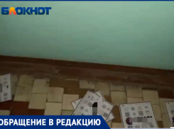 Весь подъезд в квитанциях и рекламе: Волжские подъезды закидали макулатурой