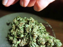 Драгдилеру из Волжского грозит 15 лет заключения за 100 граммов марихуаны