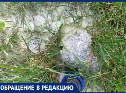 Экологическая катастрофа в СНТ «Цветущий сад»: садоводов травят нечистотами из водопровода