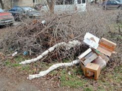 Свалка сухостоя в одном из дворов Волжского лежит с лета 2022 
