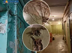 «В Припяти комфортней»: в Волжском показали шокирующее состояние жилого фонда изнутри