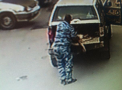 Последние минуты жизни собаки Мони, уничтоженной службой по отлову в Волжском, попали на видео