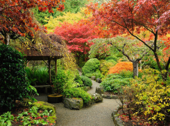 Улицу Александрова изменят за шестьдесят три миллиона