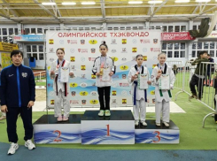Серебряную медаль на первенстве ЮФО по тхэквондо получила волжанка