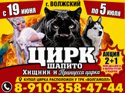 Билеты в цирк по акции 2+1