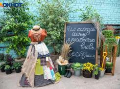 Главная цветочная выставка в Волжском побила рекорд по посещаемости