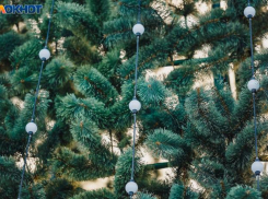 В Волжском определят победителя в конкурсе на самое красивое новогоднее украшение