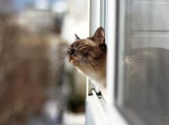 Выходные подарят волжанам немного тепла и солнца