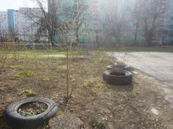 В Волжском утилизируют отработанные покрышки