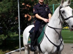 Волжанин порвал форменные брюки полицейскому-кавалеристу