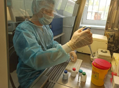 В Волжском появится лаборатория для исследований на COVID-19