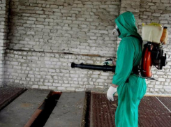 Крымская геморрагическая лихорадка напугала волжан