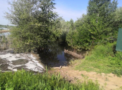 Волжанка спасала 11-летнего мальчишку из воды