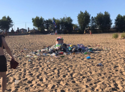 «Вонь страшенная, мухи роями летают», - волжанин о мусорке на пляже Зеленого 