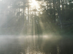 В Волгоградской области ожидают туманы и дожди 