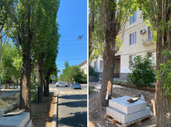 В Волжском с подрядчика взыскали 131 тысячу за порчу деревьев