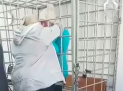 Задержанная в Волжском мать-убийца 9-месячного ребенка разревелась в суде