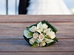 В Волгограде не стало ведущей свадьбы