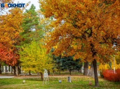 Тепло и солнечно будет в Волжском в среду: прогноз погоды