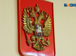 20 депутатов лишились полномочий в Волгоградской области из‑за недостоверных деклараций