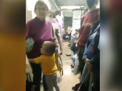 «Больница во время чумы»: волжанка сняла очередь в детской поликлинике