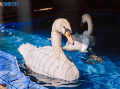 Солнечный четверг обещают синоптики волжанам