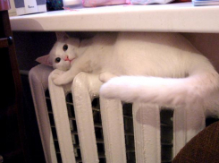 После публикации в «Блокнот Волжский» в дом вернули отопление