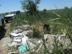 В Волжском продолжают штрафовать за несанкционированный выброс мусора